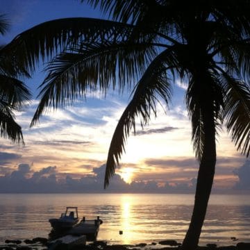 GrandSlam Lodge, Fishing Mexico, Aardvark McLeod