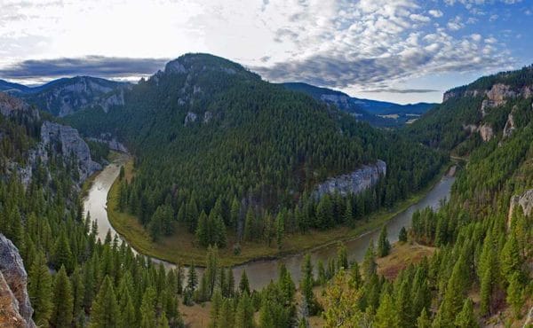 Smith River, Fly Fishing, Montana, River Fishing, Trout Fishing, Fishing Guide, Aardvark McLeod