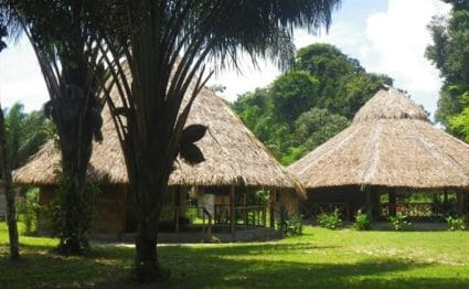 Rewa, Guyana, Arapaima, fishing, Aardvark McLeod