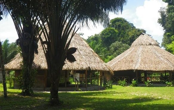 Rewa, Guyana, Arapaima, fishing, Aardvark McLeod