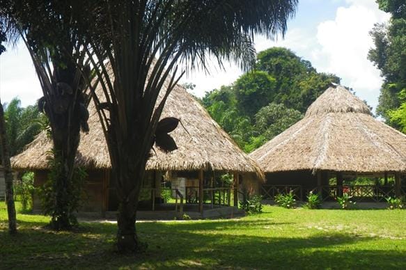 Rewa, Guyana, Arapaima, fishing, Aardvark McLeod