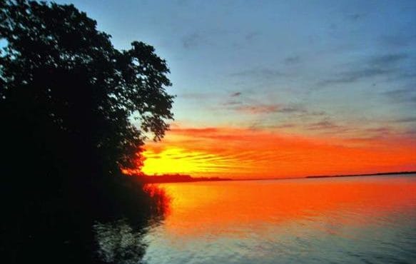 Alto Parana Dorado Lodge, Argentina, Aardvark McLeod