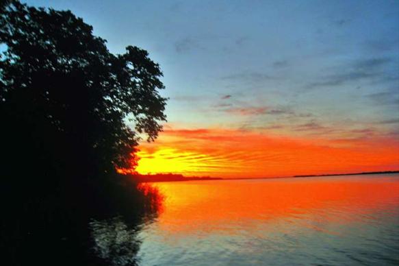 Alto Parana Dorado Lodge, Argentina, Aardvark McLeod