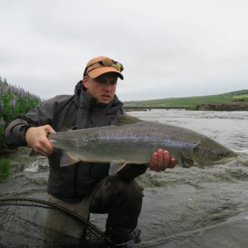 Iceland Salmon Fishing