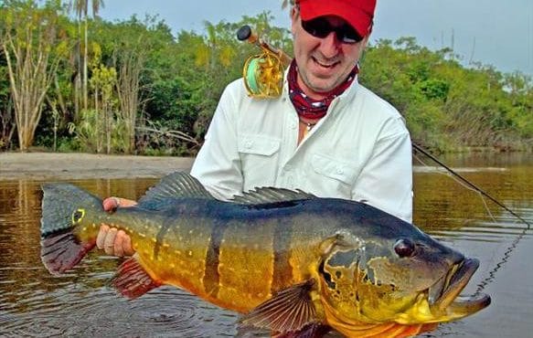 Peacock bass, Rio Marie, Amazon, Brazil, Aardvark McLeod