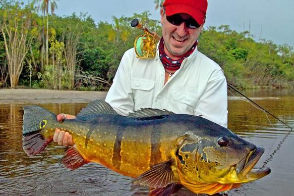 Peacock bass, Rio Marie, Amazon, Brazil, Aardvark McLeod