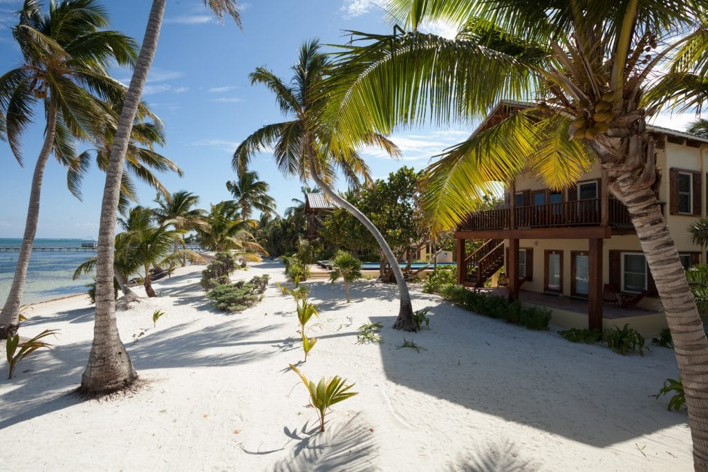 El Pescador Lodge, Belize, Aardvark McLeod
