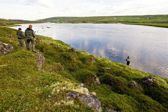 Laxardal, large brown trout, Iceland, Aardvark McLeod