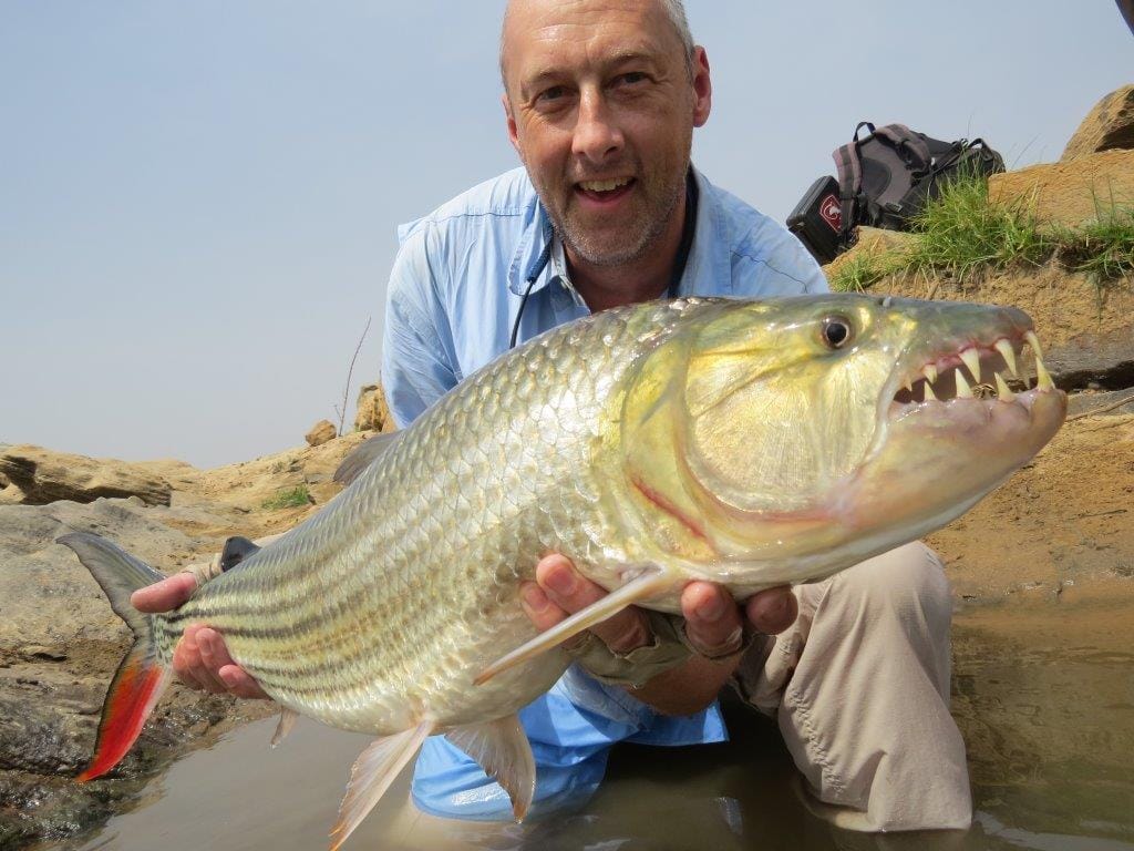 Cameroon Nile Perch Availability For rdvark Mcleod Cameroon Nile Perch Availability For rdvark Mcleod