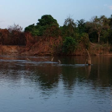 Tanzania, Tigerfish, Mynyera, Ruhudji, fly fishing for tigers, tigerfish on fly, fishing for tigerfish