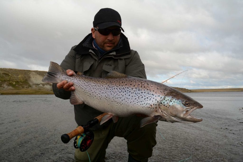 El rincon, rio Gallegos, rio penitente, fishing argentina, sea trout, brown trout, bella vista, las buitreras