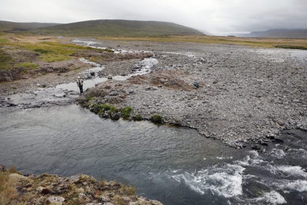 Haukadalsa, Iceland, Aardvark McLeod, salmon, trout, Iceland Fishing Guide, fishing in Iceland