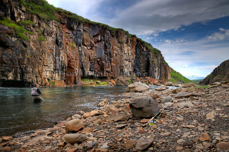 Salmon, Hofsa, Iceland