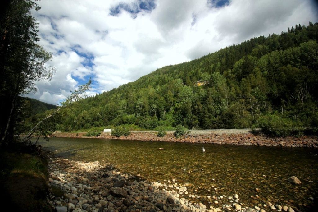 Gaula River, Winsnes Lodge, Norway, Atlantic salmon