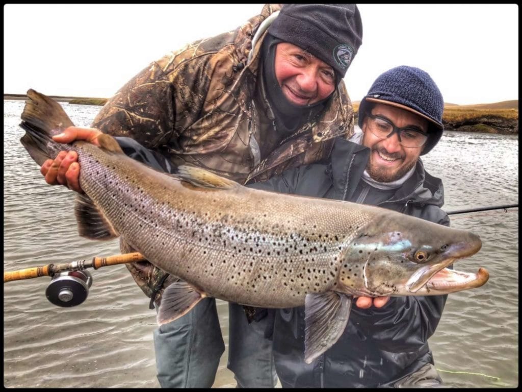 Argentina, Sea Trout, Rio Grande, Aardvark McLeod, EMB, Tierra del Fuego, huge sea trout, sea trout flies, fishing sea trout argentina, tdf, la villa maria behety, sea run brown trout, Rio Menendez, maria behety lodge