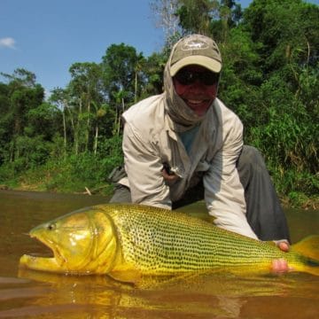 Bolivia, Tsmiane, Bolivia Tsimane, Bolivia Dorado, Tsimane Dorado, fishing for Dorado, Bolivia fishing, Bolivia Pacu, Aardvark McLeod Bolivia, Bolivia Secure Lodge fishing, Bolivia Agua Negra fishing, Bolivia Pluma Lodge fishing