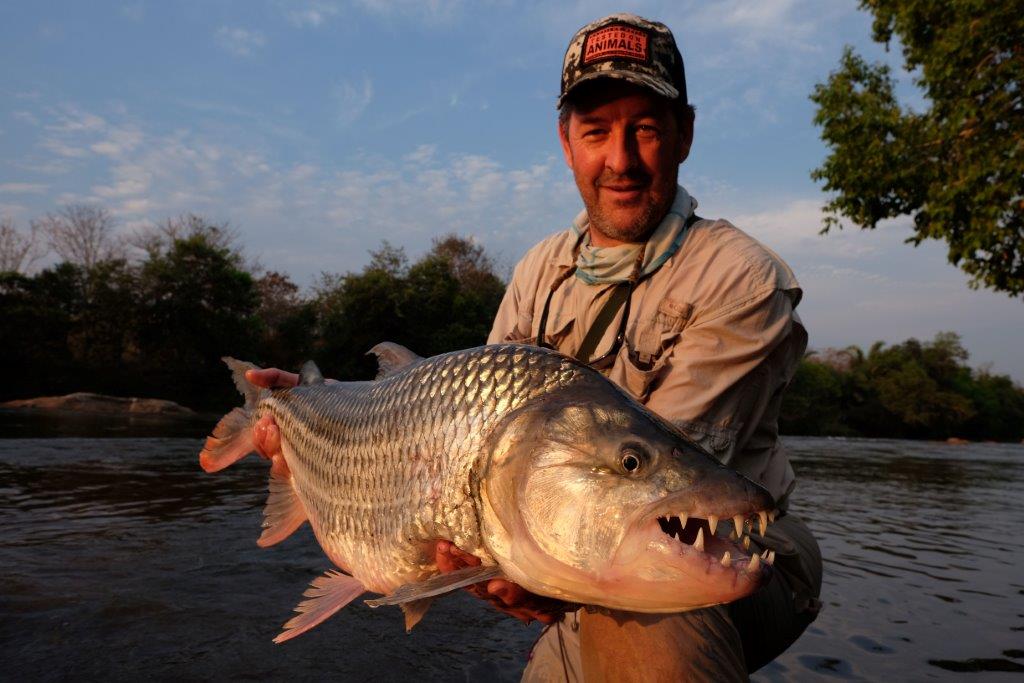 tigerfish on a fly, Tanzania, Tanzania tigerfish, fishing in Tanzania, fly fishing in Tanzania, tigerfish, fishing for Tigerfish