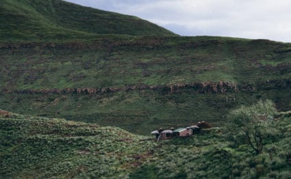 Makhangoa Community Camp, Lesotho, Aardvark McLeod, rainbow trout, brown trout, yellowfish,