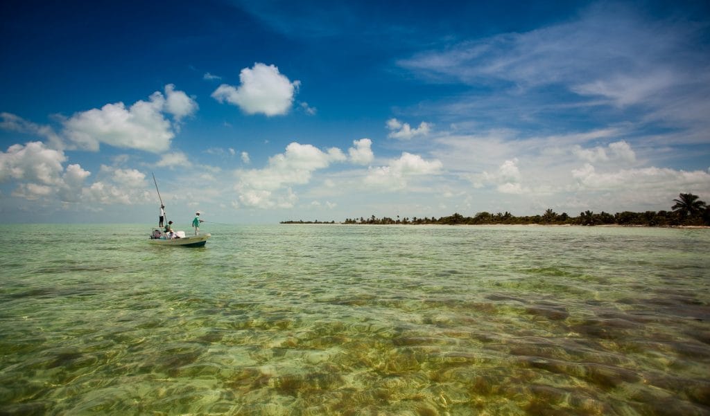 El Pescador Lodge, Belize, Aardvark McLeod