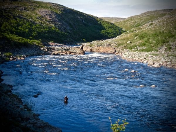 Kharlovka, Eastern Litza, Rynda, Zolotaya, ASR, Atlantic Salmon Reserve, Aardvark McLeod, salmon fishing, fishing in Russia