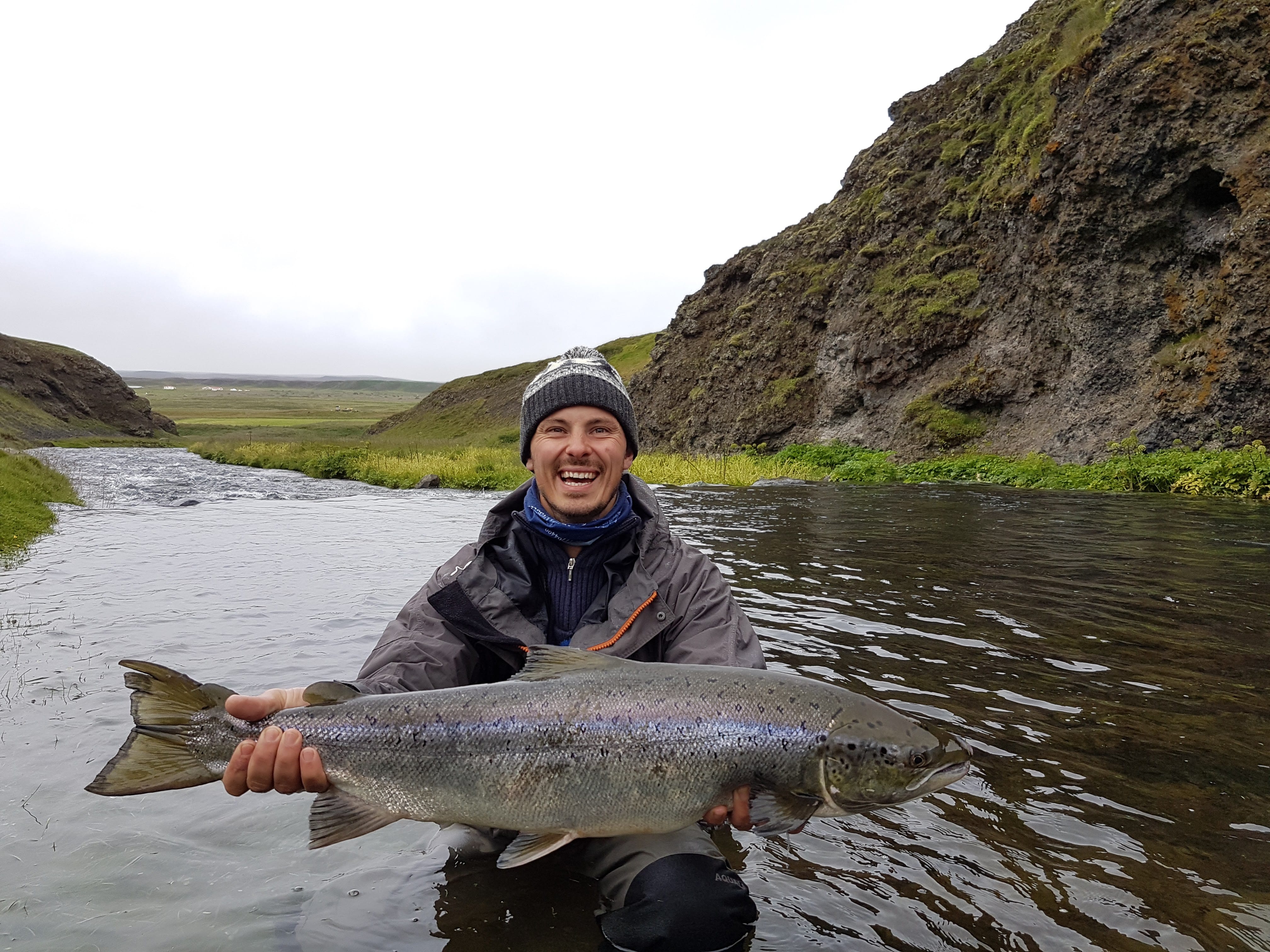 Myrarkvisl, Iceland, Aardvark McLeod