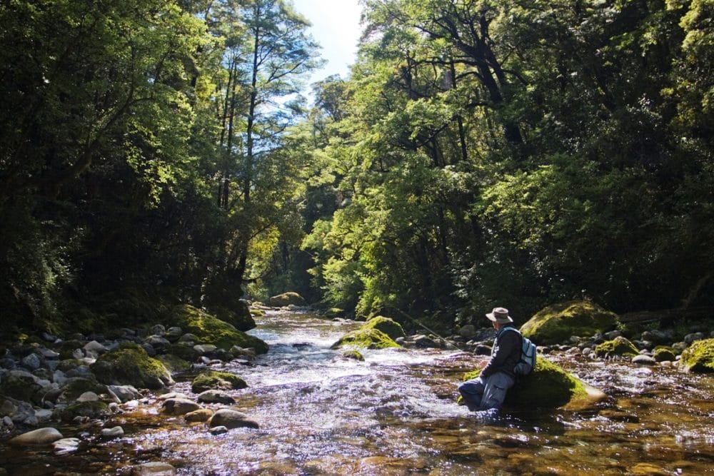 New Zealand, Owen River Lodge, fly fishing