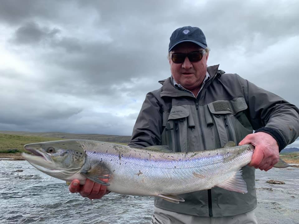 Grimsa, Iceland, Aardvark McLeod