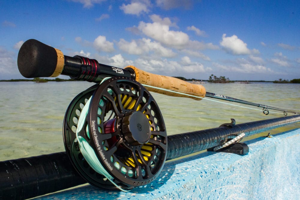 Mexico; Punta Allen Fishing Club, March 2019 Trip Report by Alex Jardine -  Aardvark Mcleod