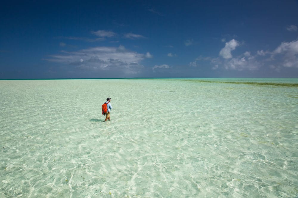 Cosmoledo, Seychelles, Aardvark McLeod