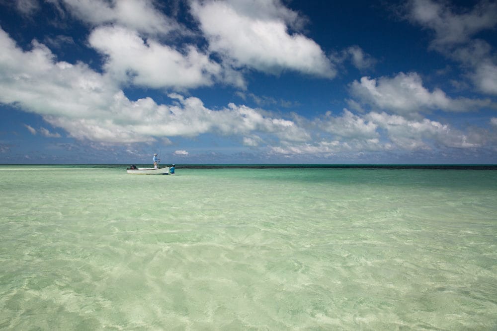 Cosmoledo, Seychelles, Aardvark McLeod