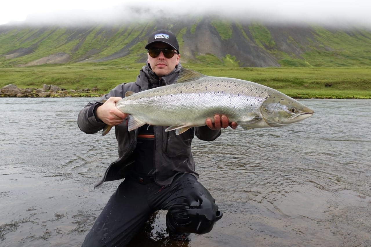 Svarlbardsa. Iceland, Aardvark McLeod