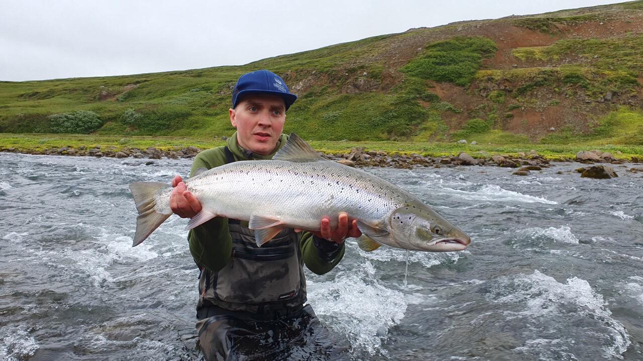 Svarldardsa, Iceland, Aardvark Mcleod