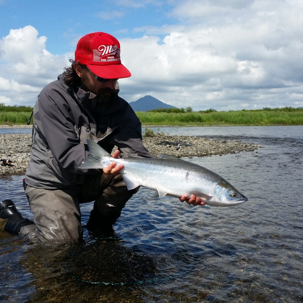 Goodnews River Lodge, Alaska Fly Fishing, Salmon Fly Fishing Alaska, Aardvark McLeod