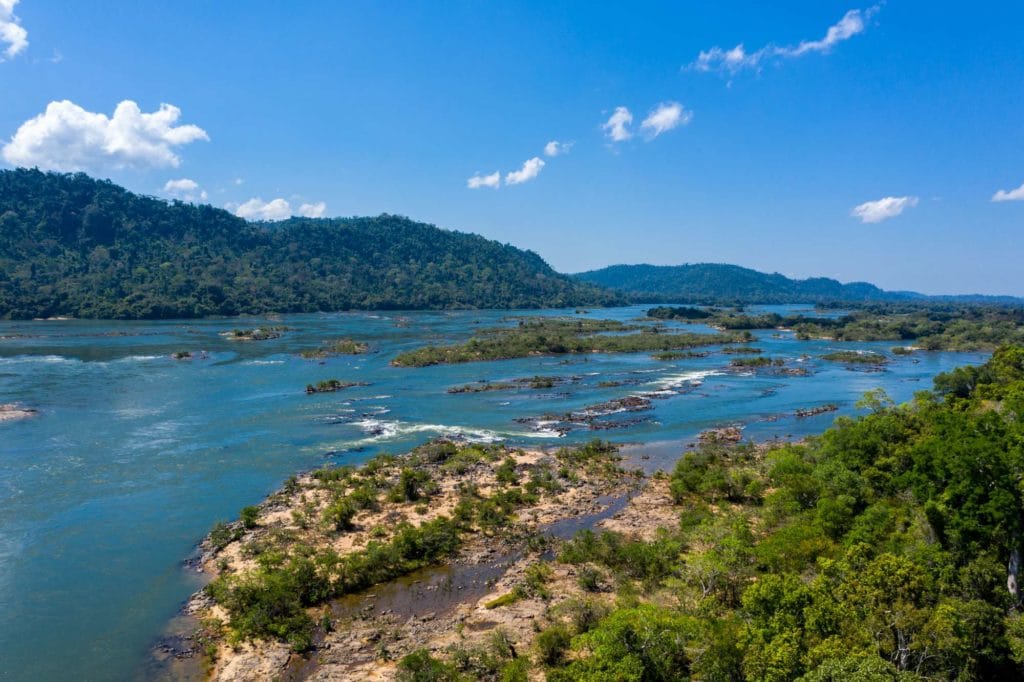 xingu river, payara fishing, fishing brazil, untamed angling, exploratory, aardvark mcleod