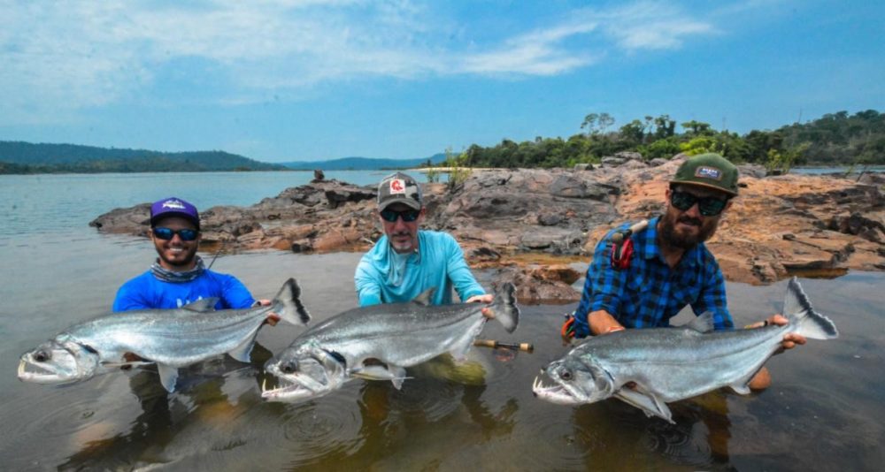 Brazil Fly fishing, fly fishing payara, peacock bass fly fishing, Xingu Lodge, Xingu River