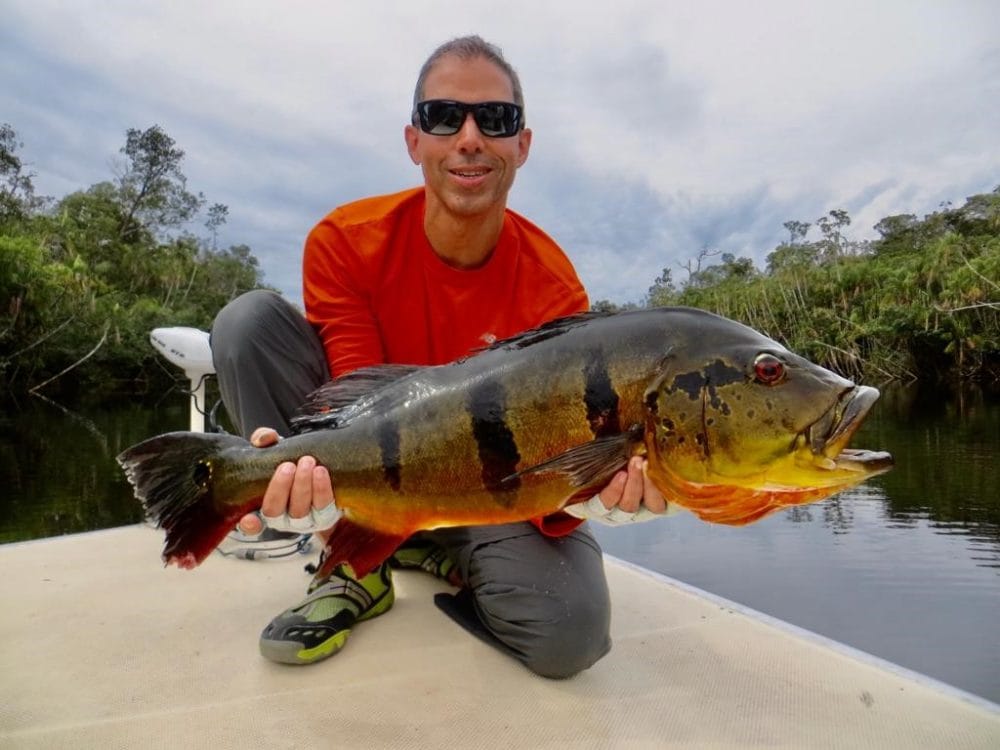 Brazil fly fishing, peacock bass fishing, amazon river, rio marie lodge