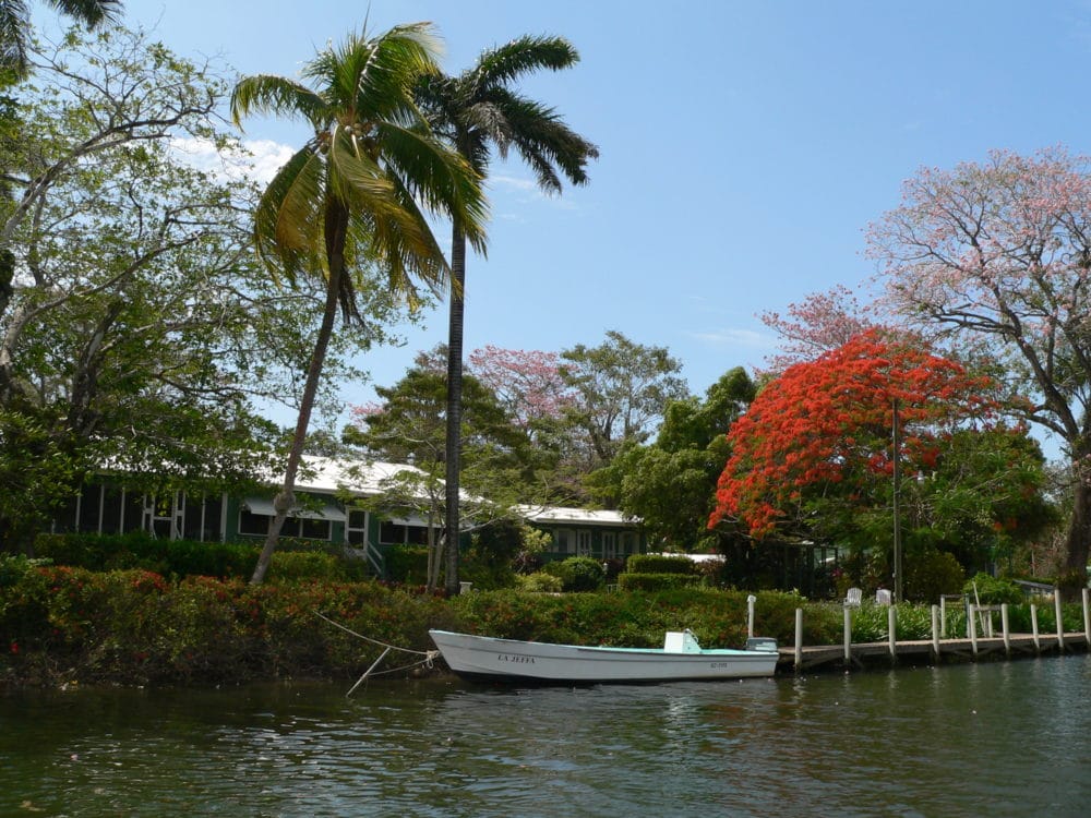 Belize River Lodge, Long Caye Outpost, Belize, Aardvark McLeod