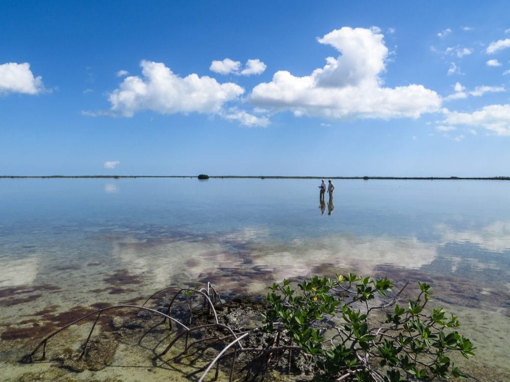 Andros South, Bahamas, fishing in Bahamas, bonefish, Bahamas bonefish, Andros South Lodge, fishing South Andros