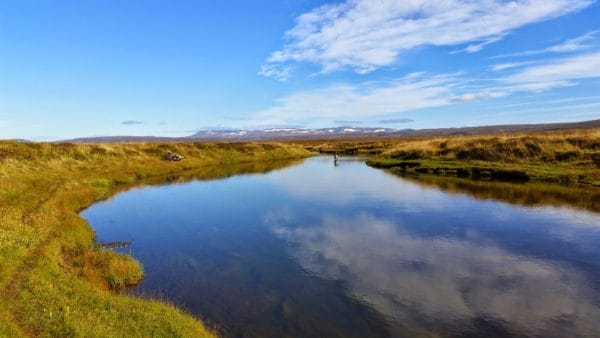 Myrarkvisl, Iceland, Aardvark McLeod