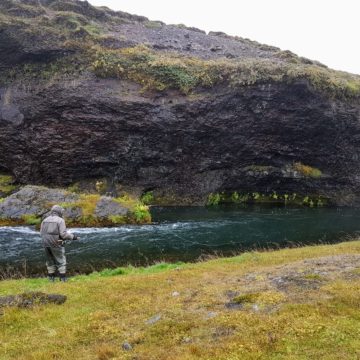 Myrarkvisl, Iceland, Aardvark McLeod