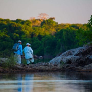 Peacock Bass, Aardvark McLeod, Amazon fishing, payara, jungle fishing, untamed angling, Kendjam, iriri river, vampire fish, yatorana, pacu, wolffish