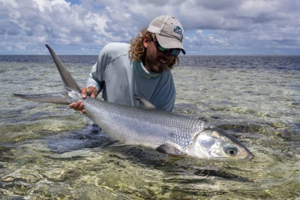 Alphonse, Milkfish Aardvark McLeod