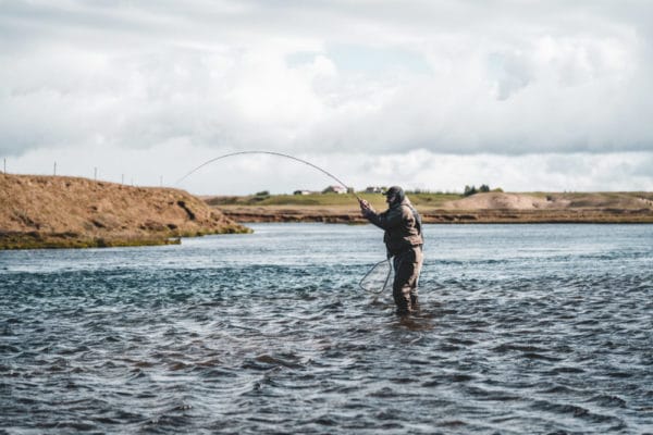 West Ranga Trout, Iceland, Aardvark McLeod