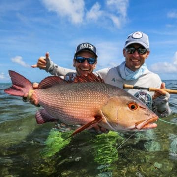 Farquhar Atoll, Seychelles, Aardvark McLeod