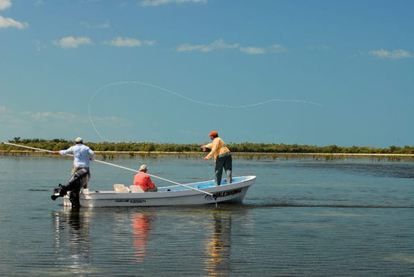 Isla Holbox, Mexico, Tarpon