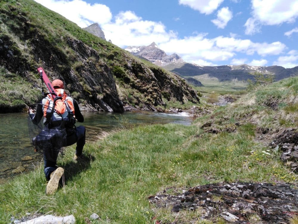 Spanish Pyrenees, Zebra Trout, trout fishing, fishing in the Pyrenees, Aardvark McLeod, Dry Fly Fishing Spain