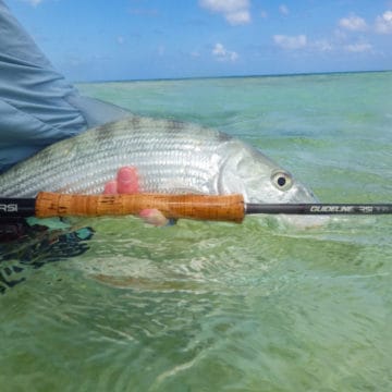 Punta Allen Fishing Club, Ascension Bay, Yucatan Peninsula, Fishing Mexico, Alex Jardine, Aardvark McLeod