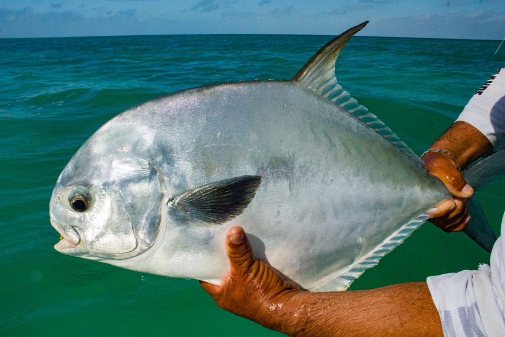 Punta Allen Fishing Club, Ascension Bay, Yucatan Peninsula, Fishing Mexico, Alex Jardine, Aardvark McLeod