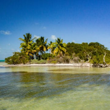 Punta Allen Fishing Club, Ascension Bay, Yucatan Peninsula, Fishing Mexico, Alex Jardine, Aardvark McLeod