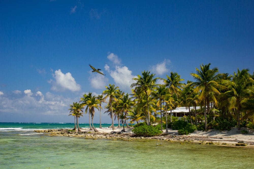 Casa Blanca Lodge, Playa Blanca Lodge, Mexico, Aardvark McLeod